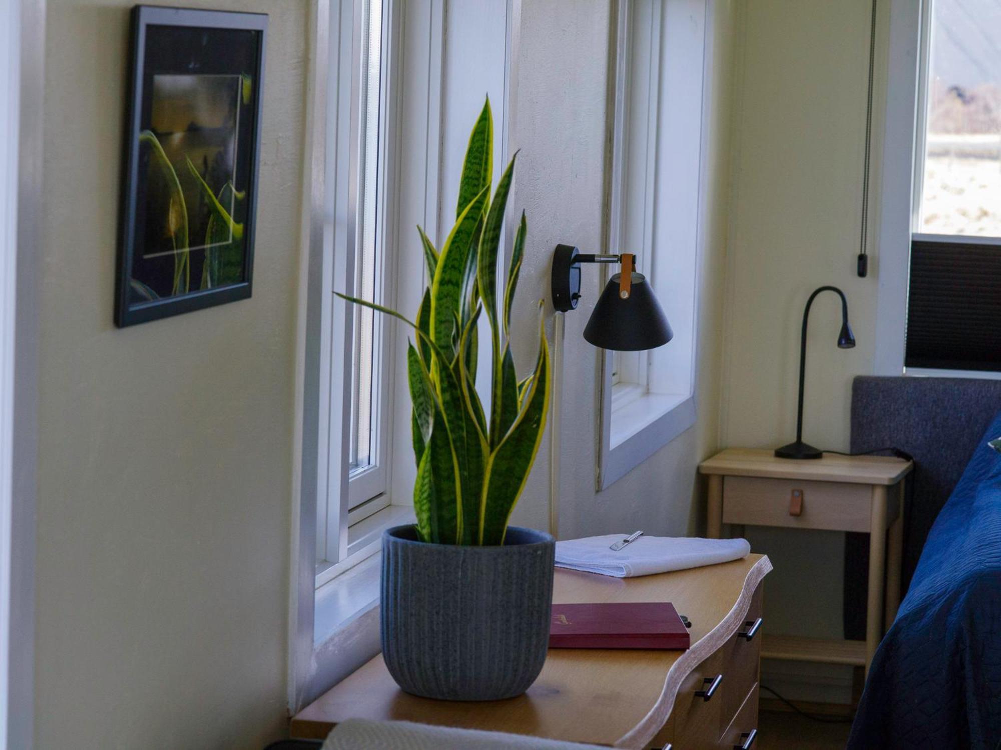 Myvo The Studio Apartment At Geiteyjarstroend 4 Рейкьяхлид Экстерьер фото